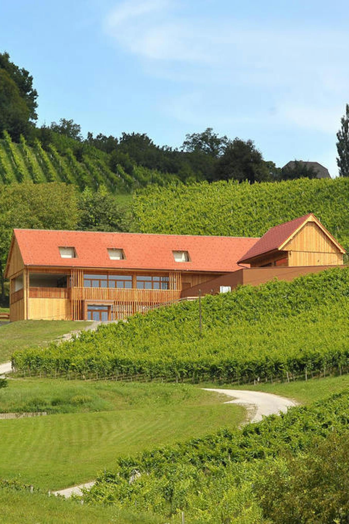 Valdhuber Wine
